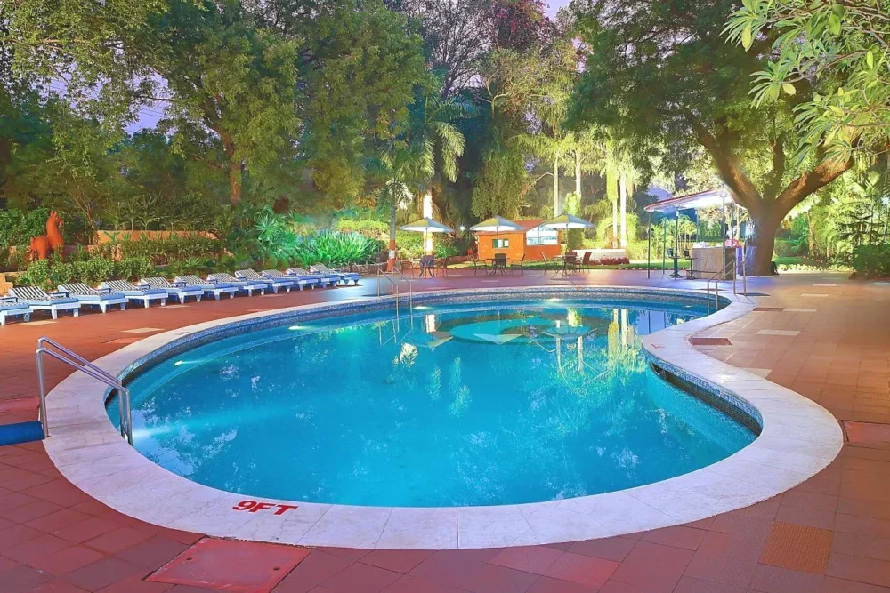 Hotel Clarks Shiraz
